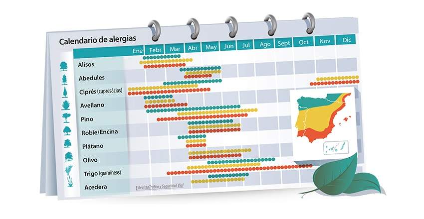 Las gramíneas afectarán hasta octubre en algunas zonas de España