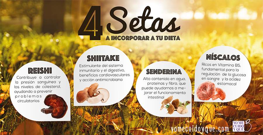 Infografía: propiedades de la senderina, los níscalos, el shiitake y el reishi