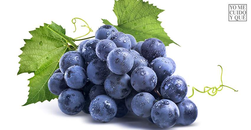 La piel de las uvas contiene Resveratrol