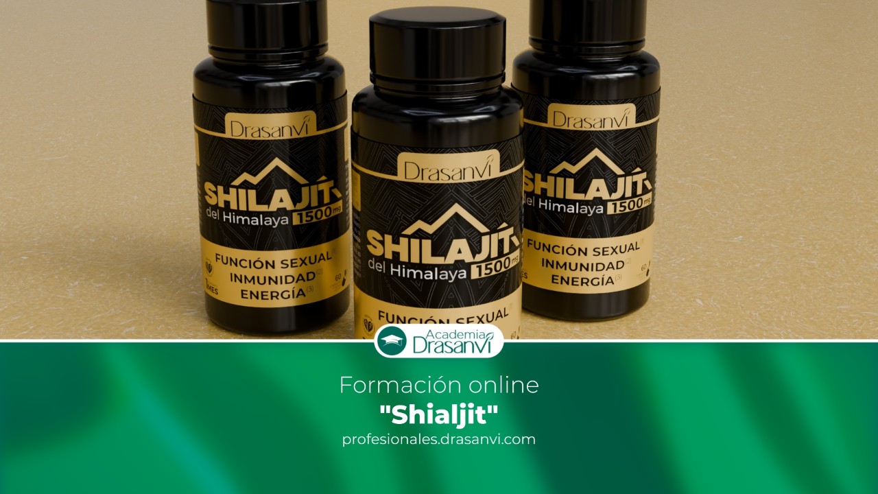 Shilajit: un poderoso remedio ayurvédico