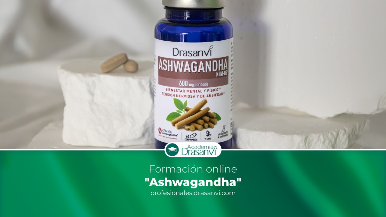 ¿Qué es la ashwagandha?