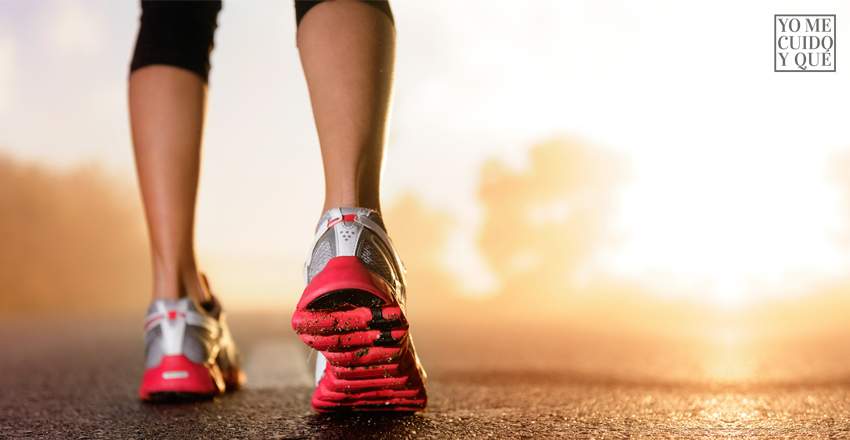 uso de l-carnitina en el deporte BENEFICIOS LA CARNITINA DEPORTES DE RESISTENCIA L-Carnitina mejora el rendimiento deportivo